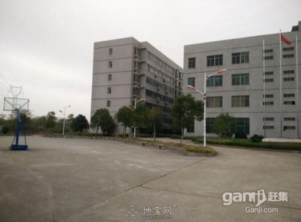 厂房及空地招租