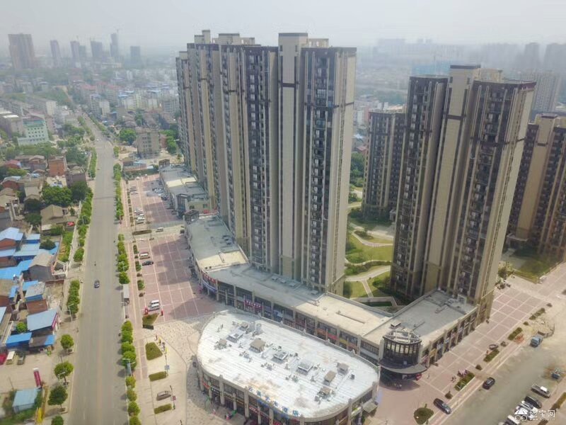 莲塘 人口_莲塘一中图片(3)