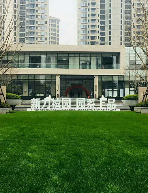 九龙湖 新力禧园商铺 品牌开发.