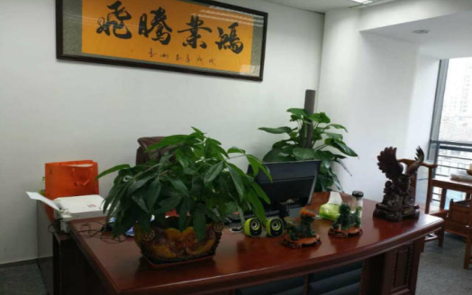 (出租) 绿地新都会 120平 上档次 一号地铁