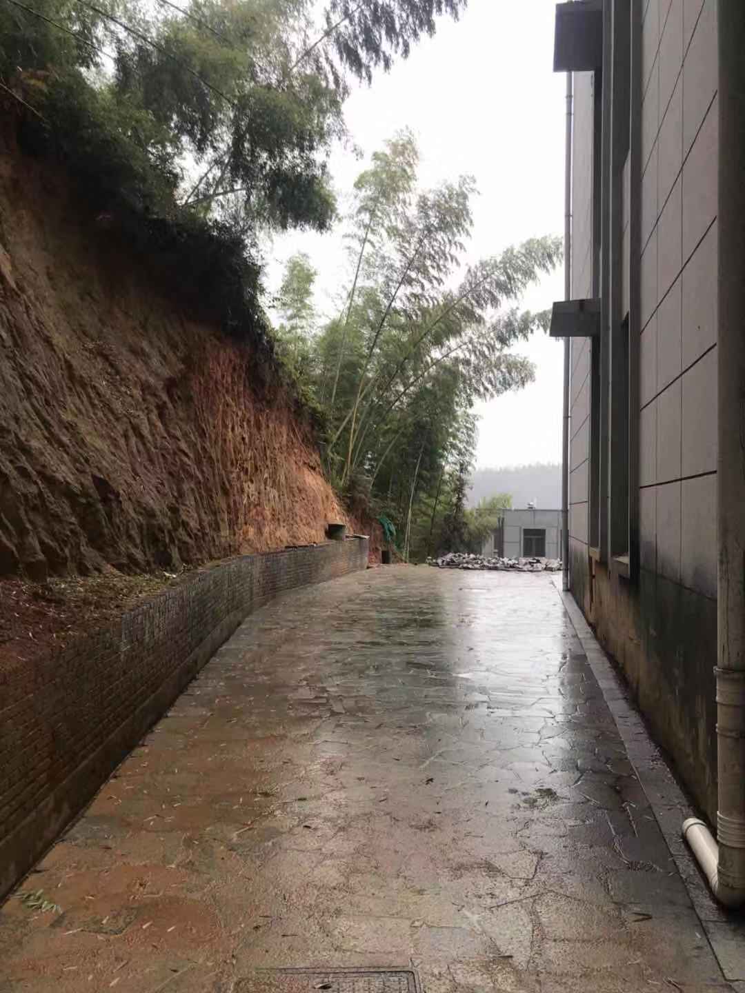 梅岭景区独栋别墅出租或合作