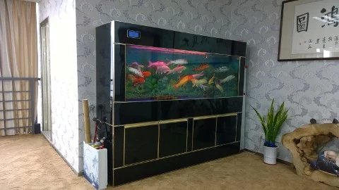 清洗鱼缸维修鱼缸安装鱼缸等