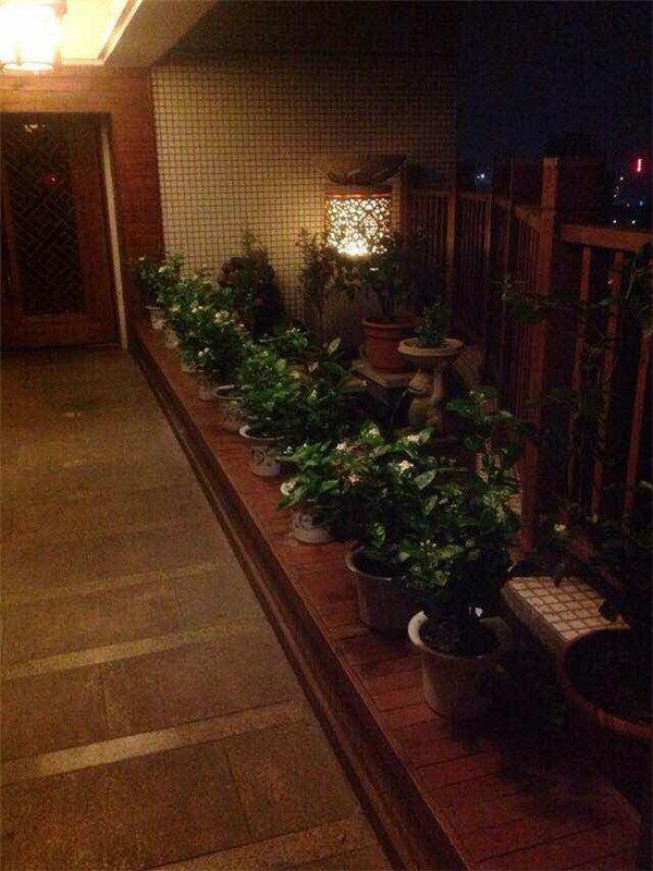豪华装修 接待 办公 会所 私密性高 一