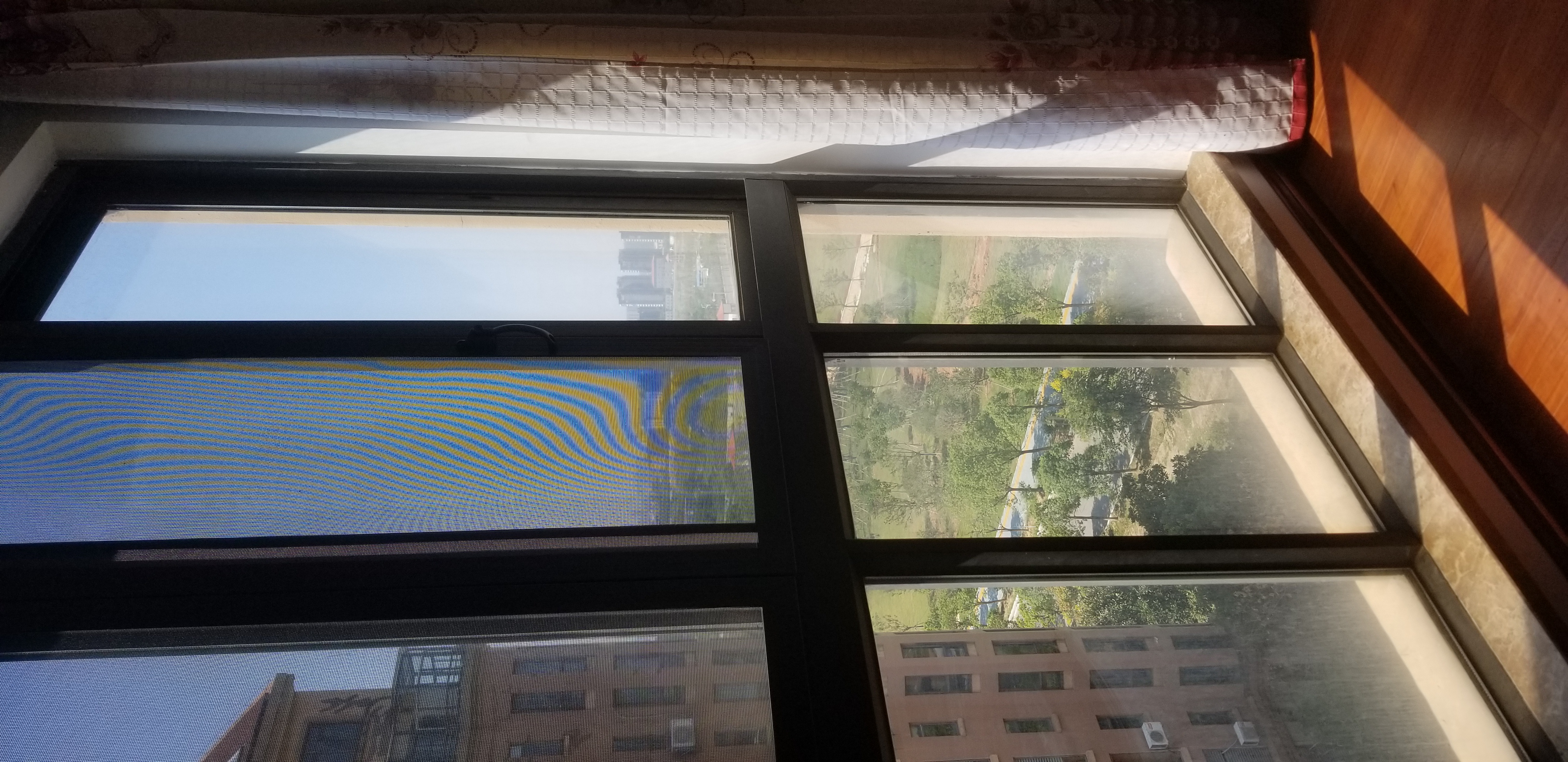 地铁旁艾溪湖湿地公园附近溪湖春天高新