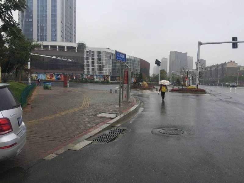 新洪城大市场 开发商内定商铺位置好,可享