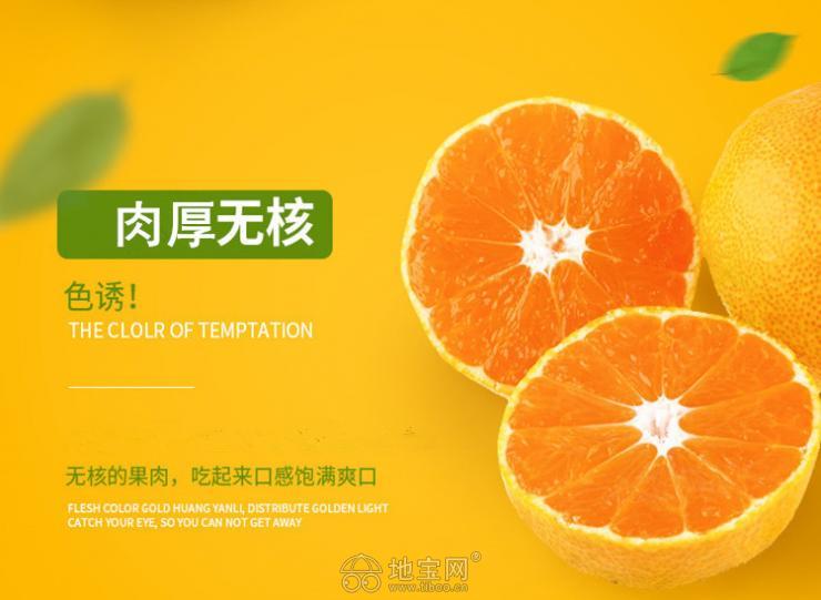 江西九江庐山西海易家河蜜桔