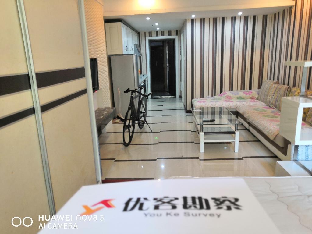 唐宁街LOFT1房 豪装家具全带 近地铁2号线2