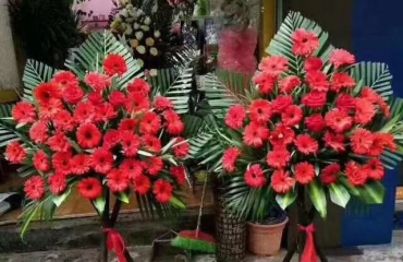 红谷滩 鲜花批发 本店经营各种花束开业花篮全城免_15