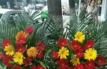 红谷滩 鲜花批发 本店经营各种花束开业花篮全城免_30