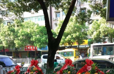 红谷滩 鲜花批发 本店经营各种花束开业花篮全城免_27