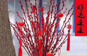 红谷滩 鲜花批发 本店经营各种花束开业花篮全城免_32