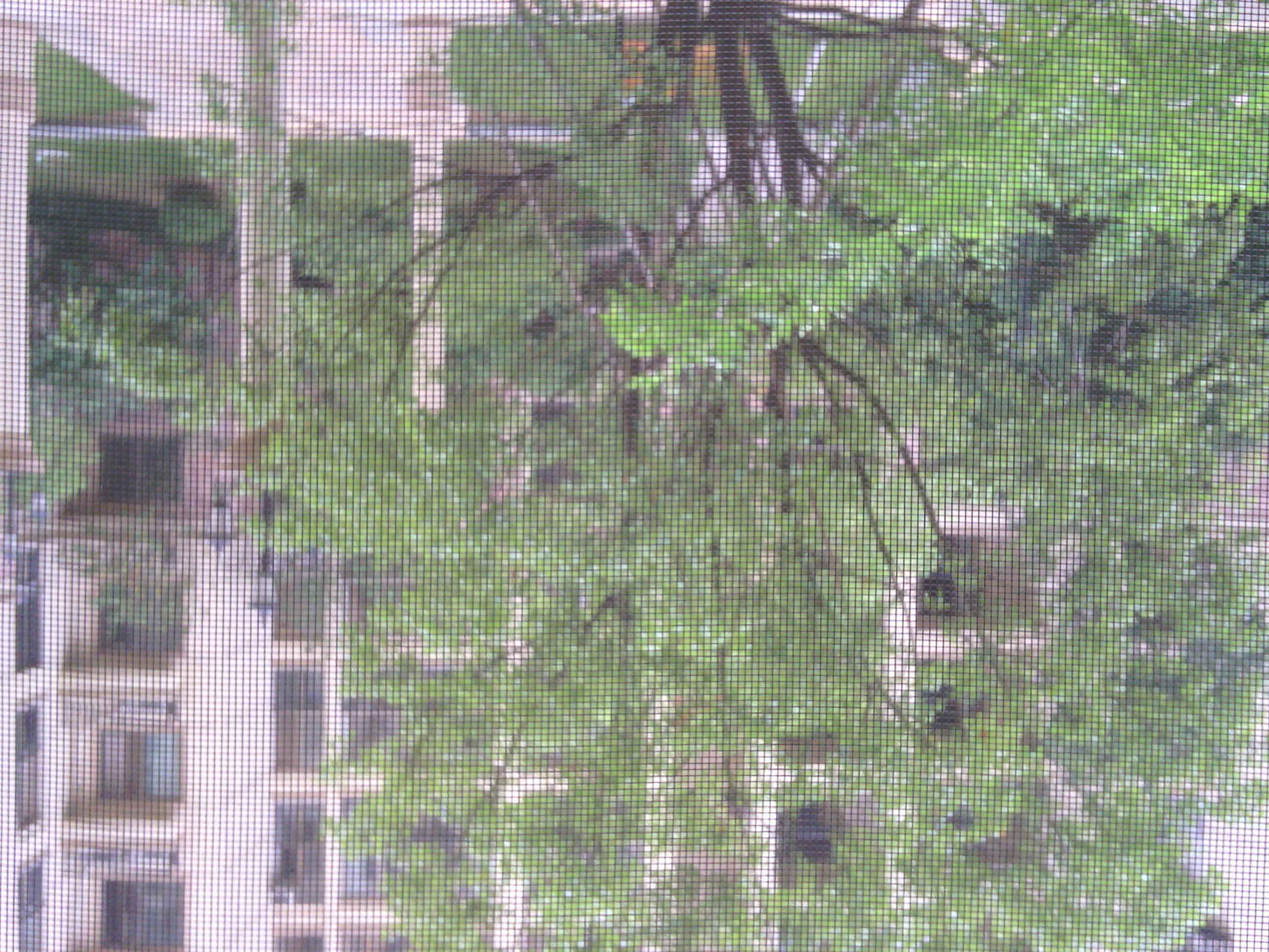 新建城B2地块,12栋,小三房房屋一套出售