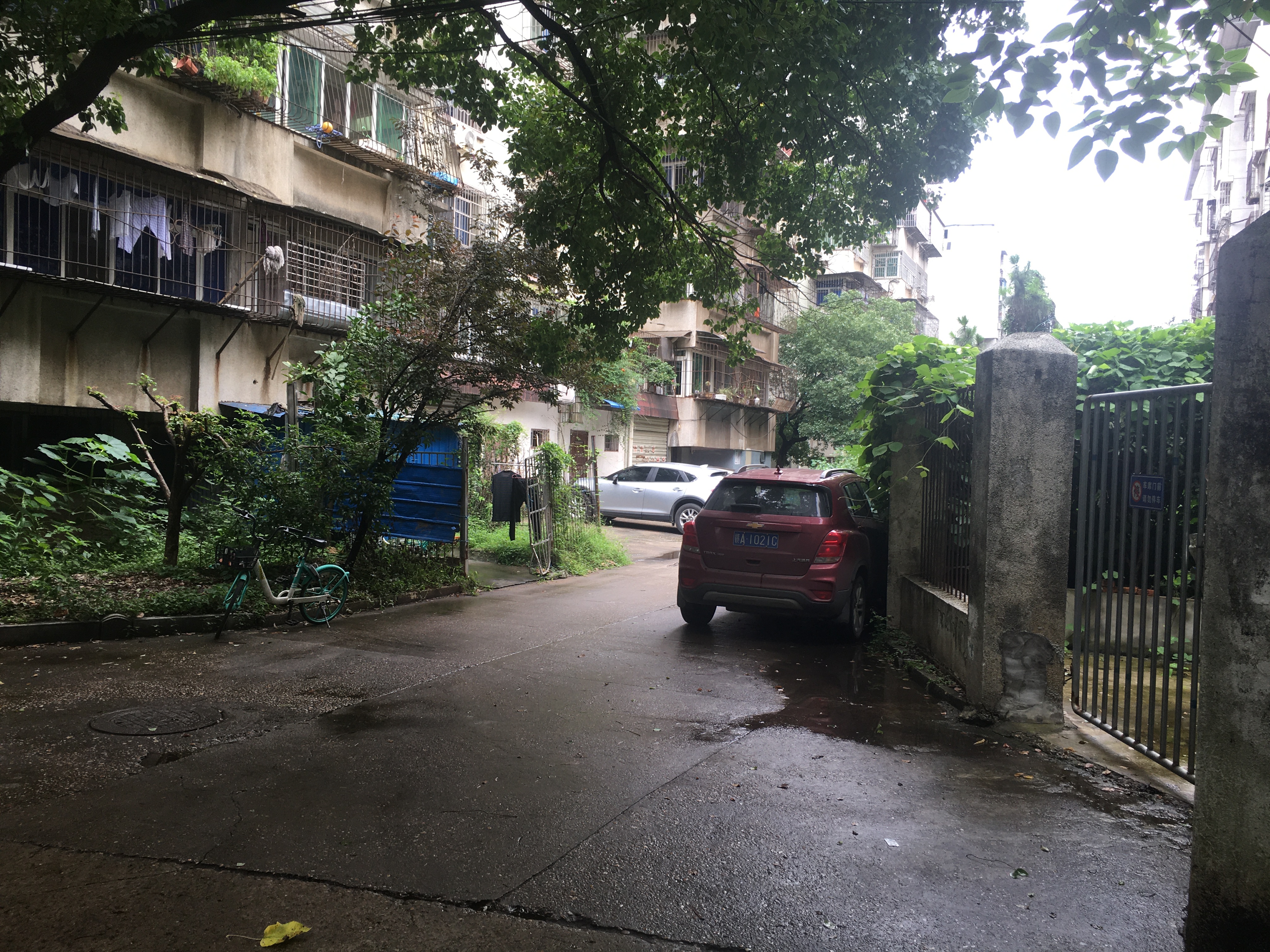 桃苑小区靠近洪城路