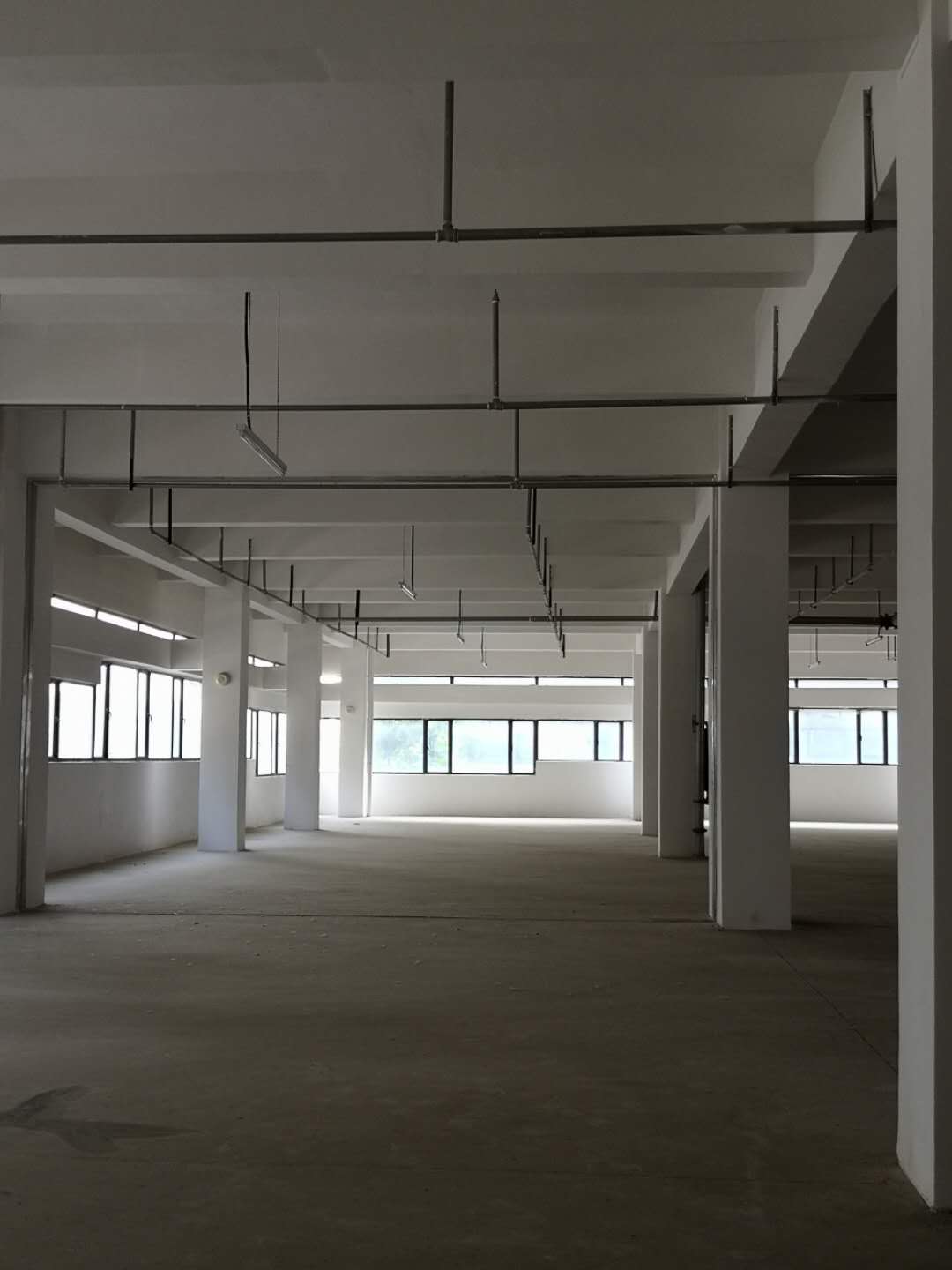 1000平,南池路仓库出租