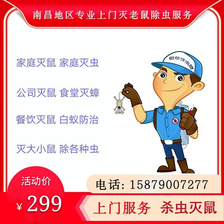 专业捕鼠灭鼠 灭鼠公司 抓老鼠公司