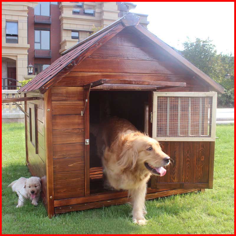 庭院大型犬（防腐木）室外小木屋。铁丝笼。_1