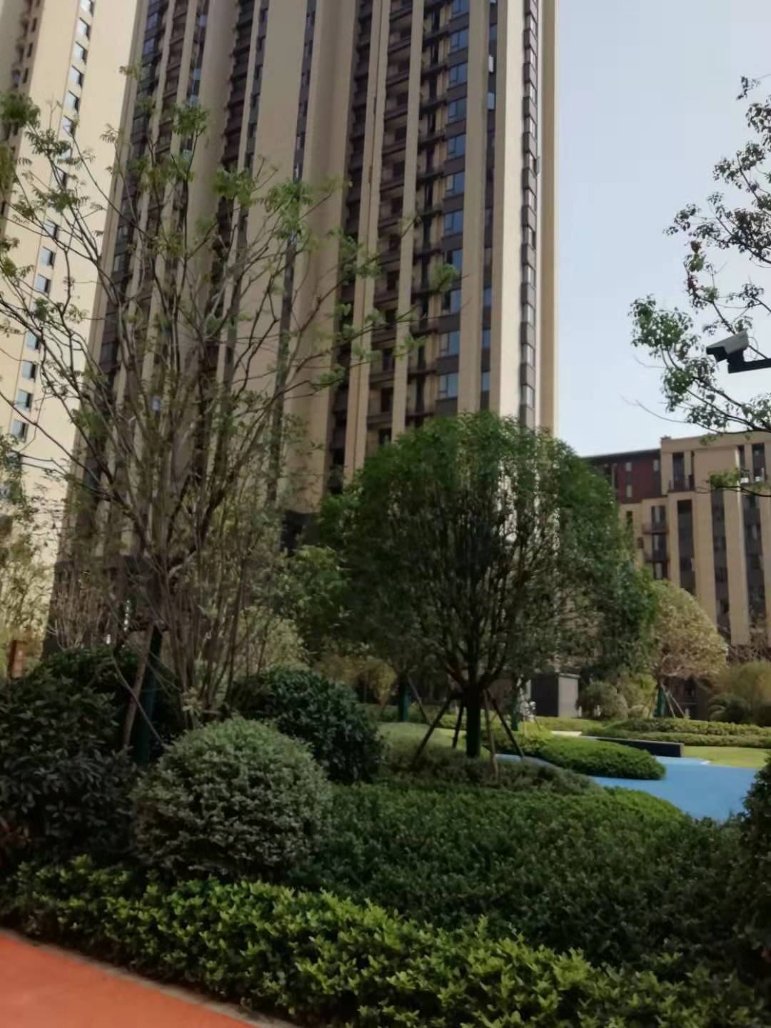 力高澜湖御景3室2厅88平米800