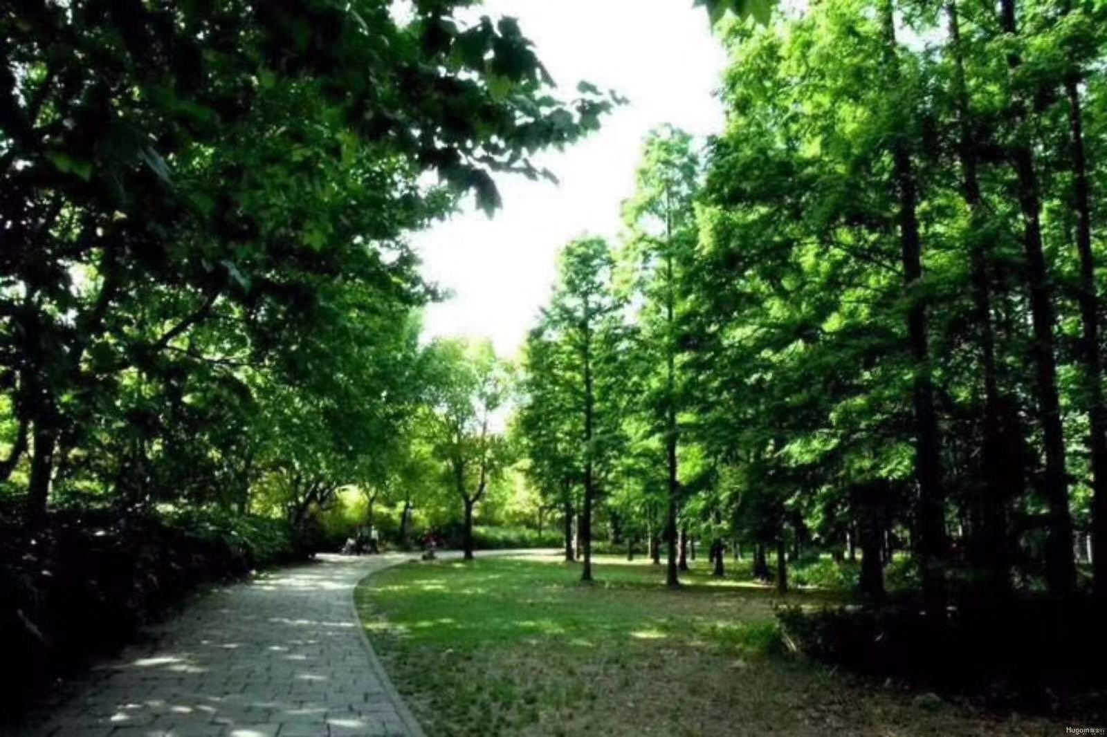 新力东园双地铁,精装,三房朝南,团购优惠中