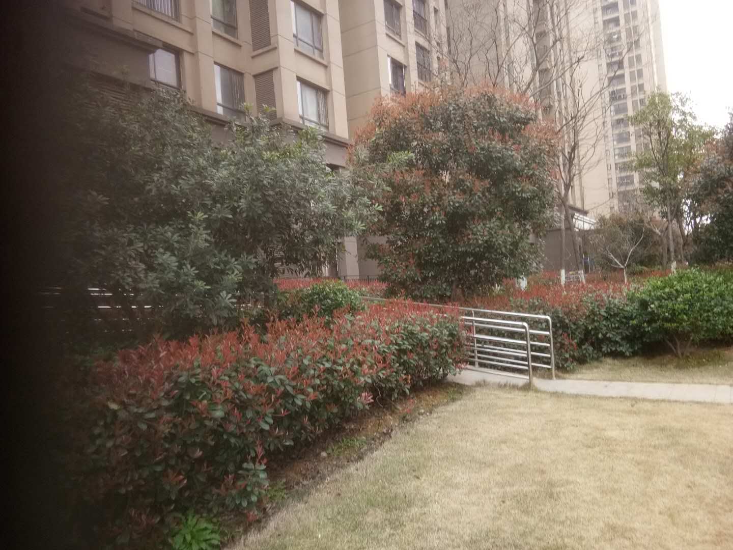 新建区长堎大道999号(长堎大道和文教西路交界处