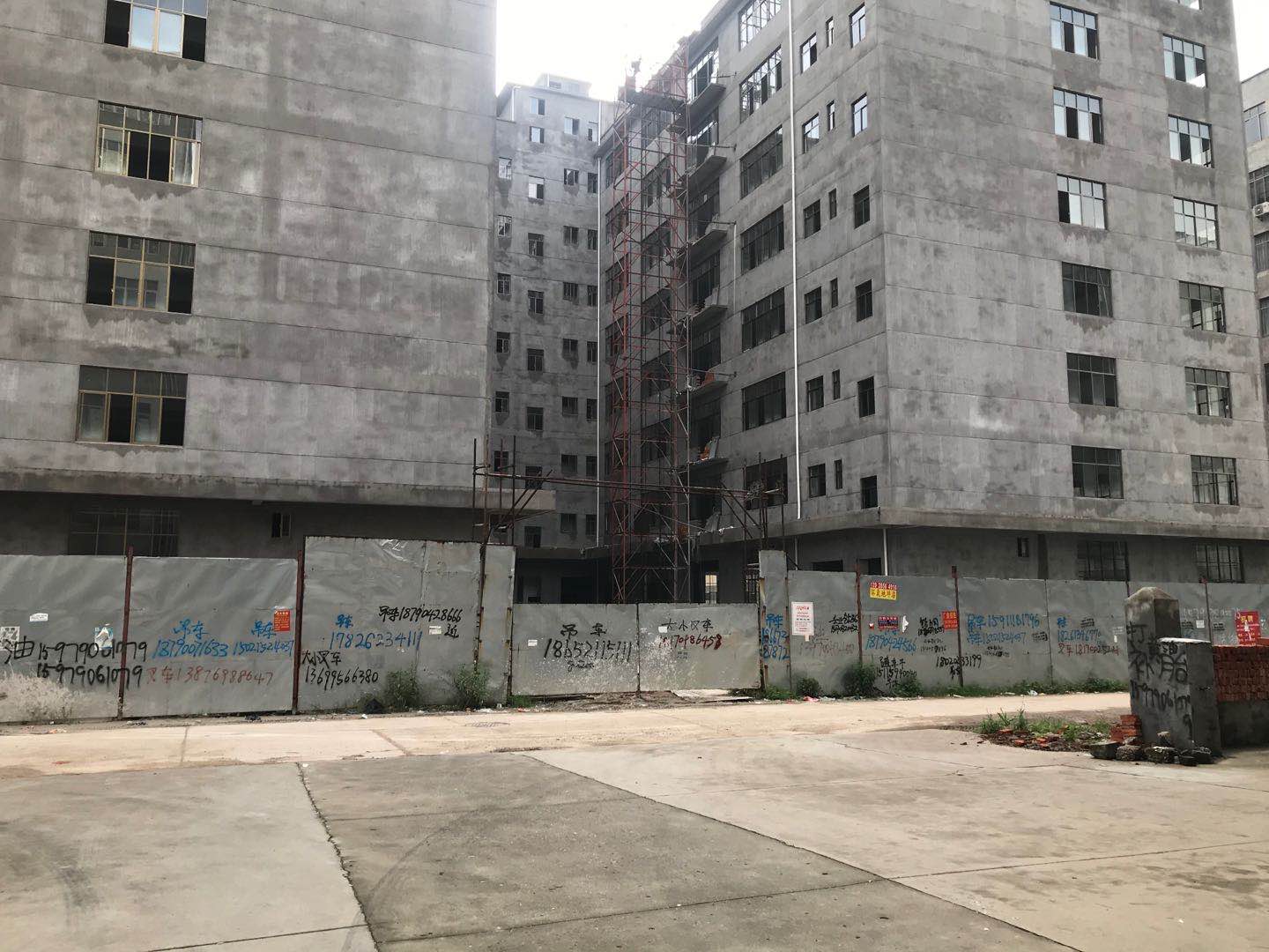 新仓库厂房出租预定交通便利靠近小蓝大道和莲河路