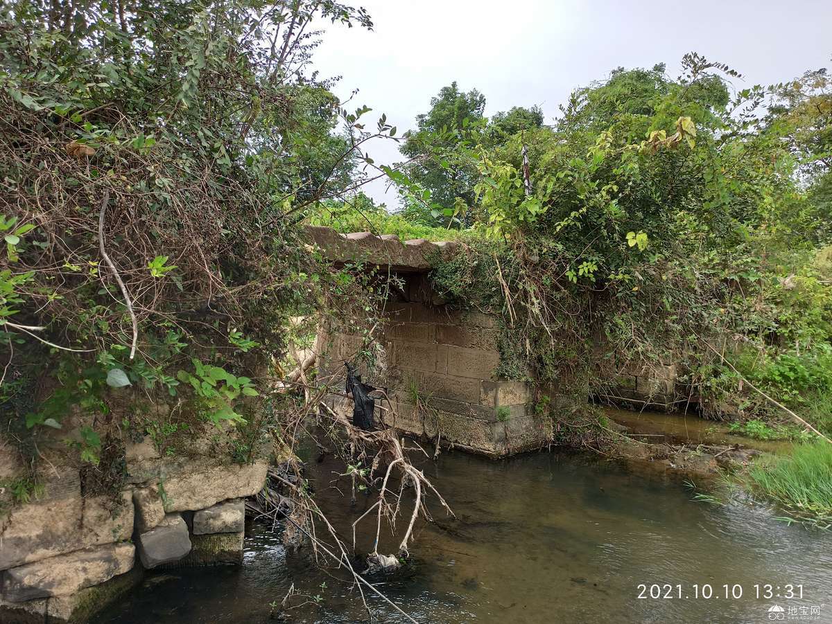 点击放大
