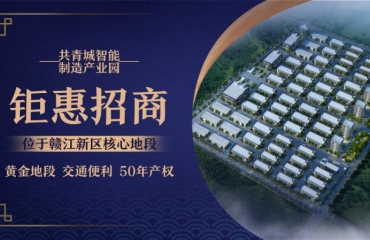 出售江西赣江新区共青城厂房，有钢结构和框架结构可_6