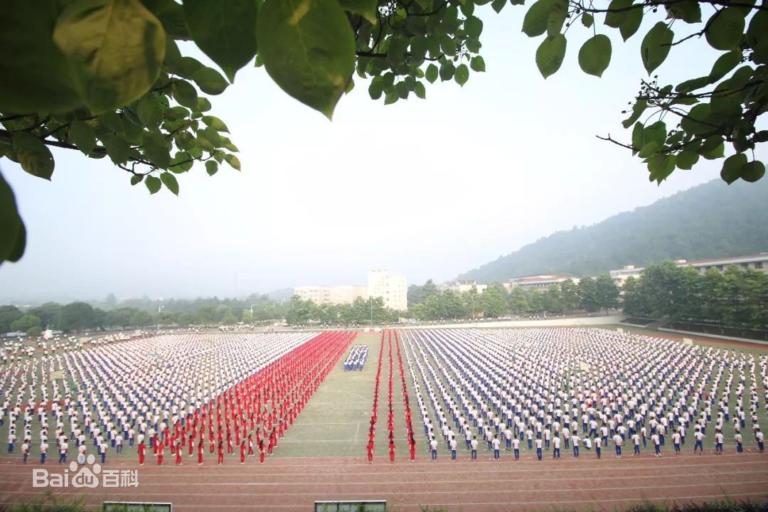 江西省西山學校常年招收初高藝術體育類學生_4