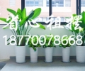 省心绿植租摆