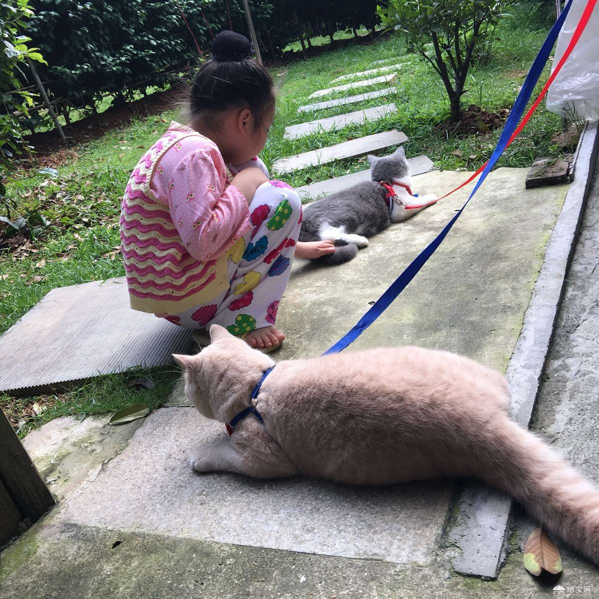 点击放大