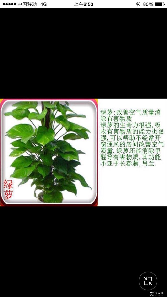 全世界宣布爱你钢琴谱-爱她就向全世界宣布我爱你 送女友.父母.朋友.领导只要关于鲜..