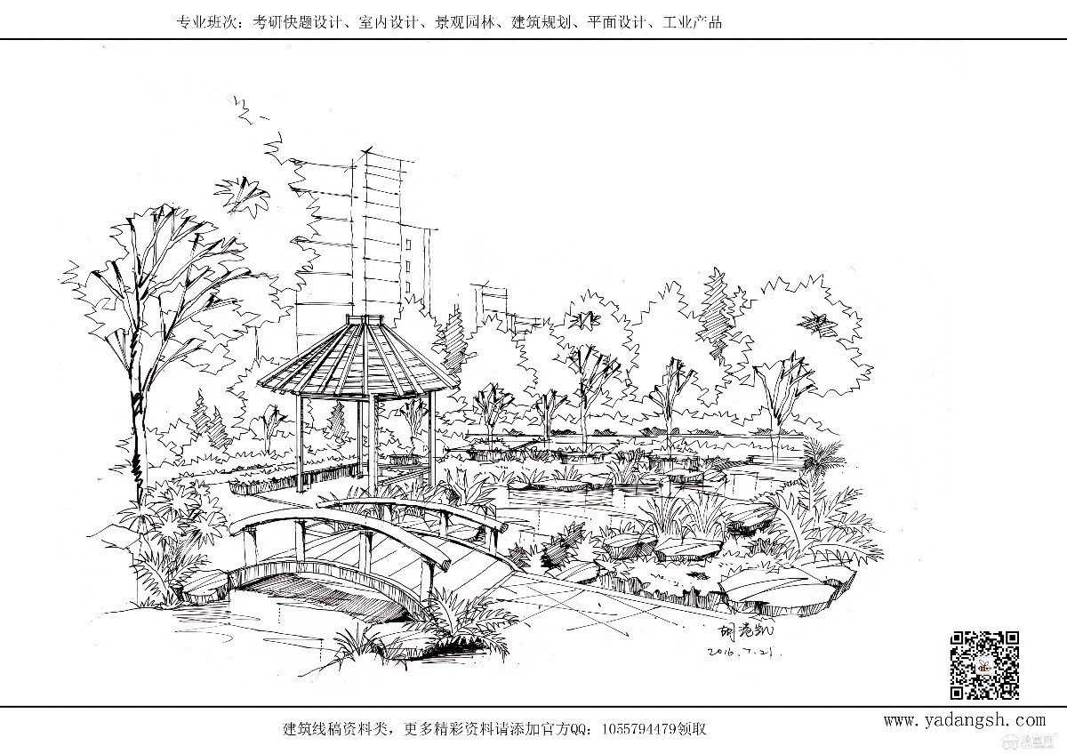 如何快速掌握景观设计中植物的画法