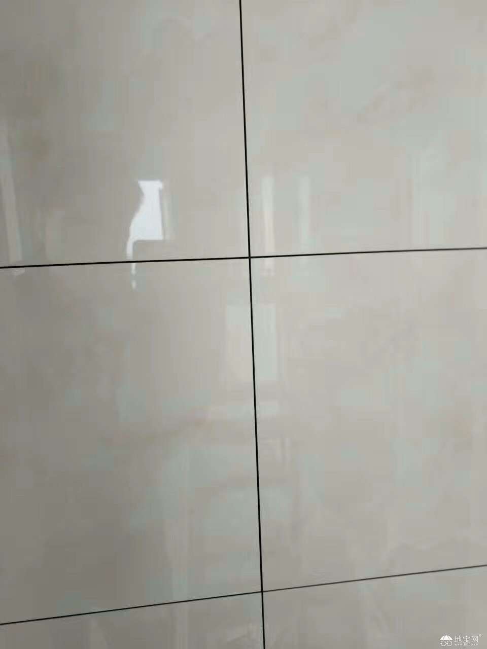 点击放大