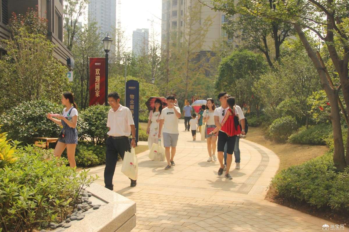 点击放大