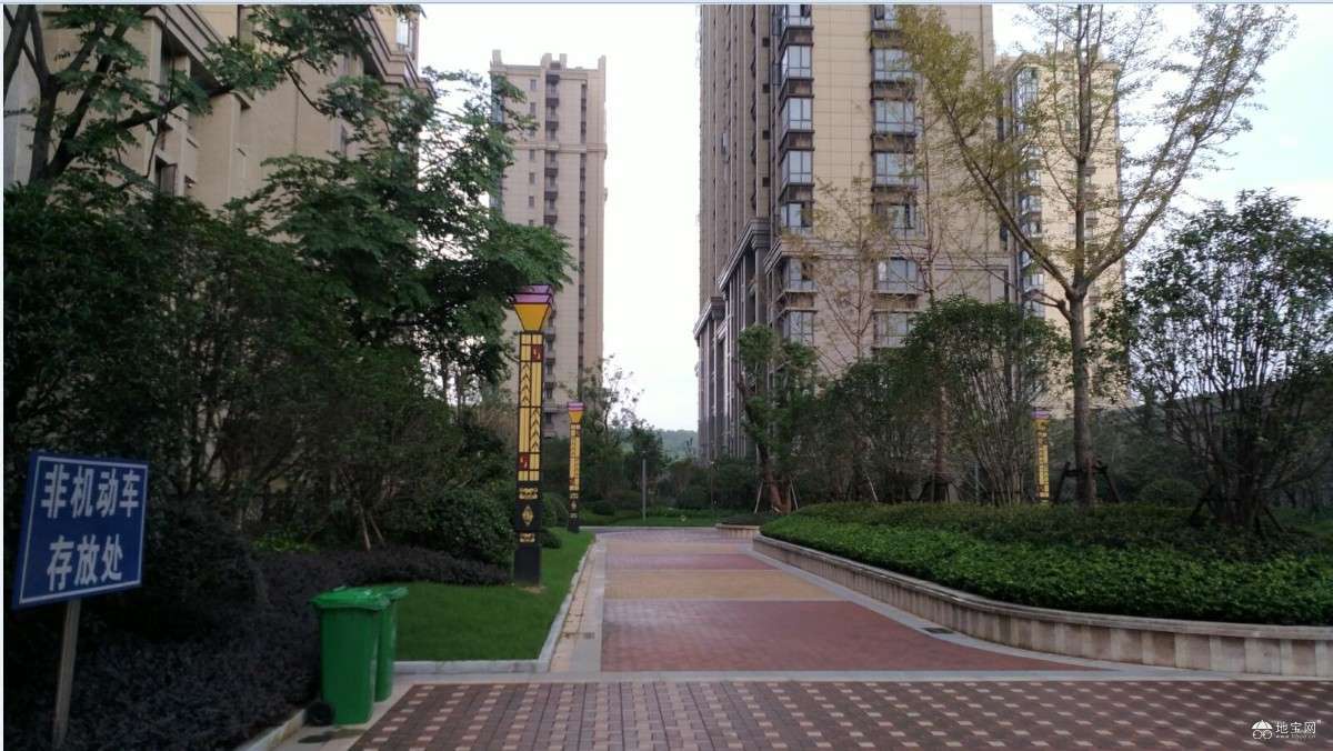 点击放大