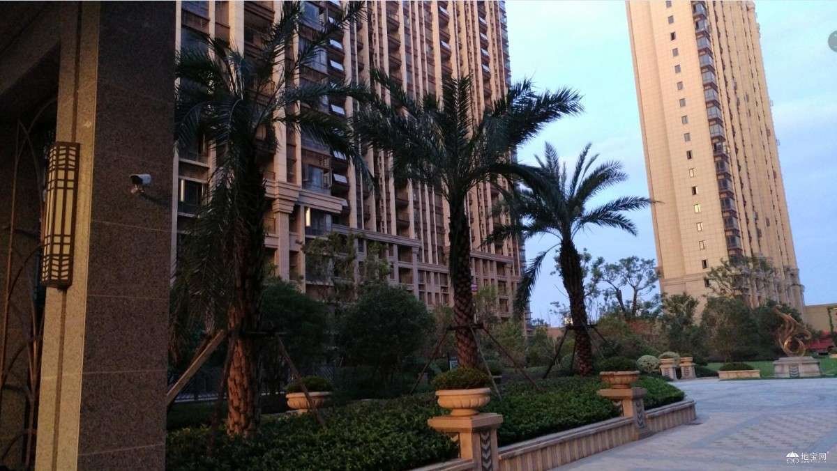 点击放大