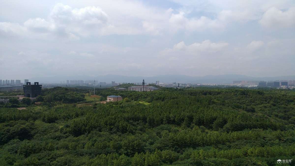 点击放大