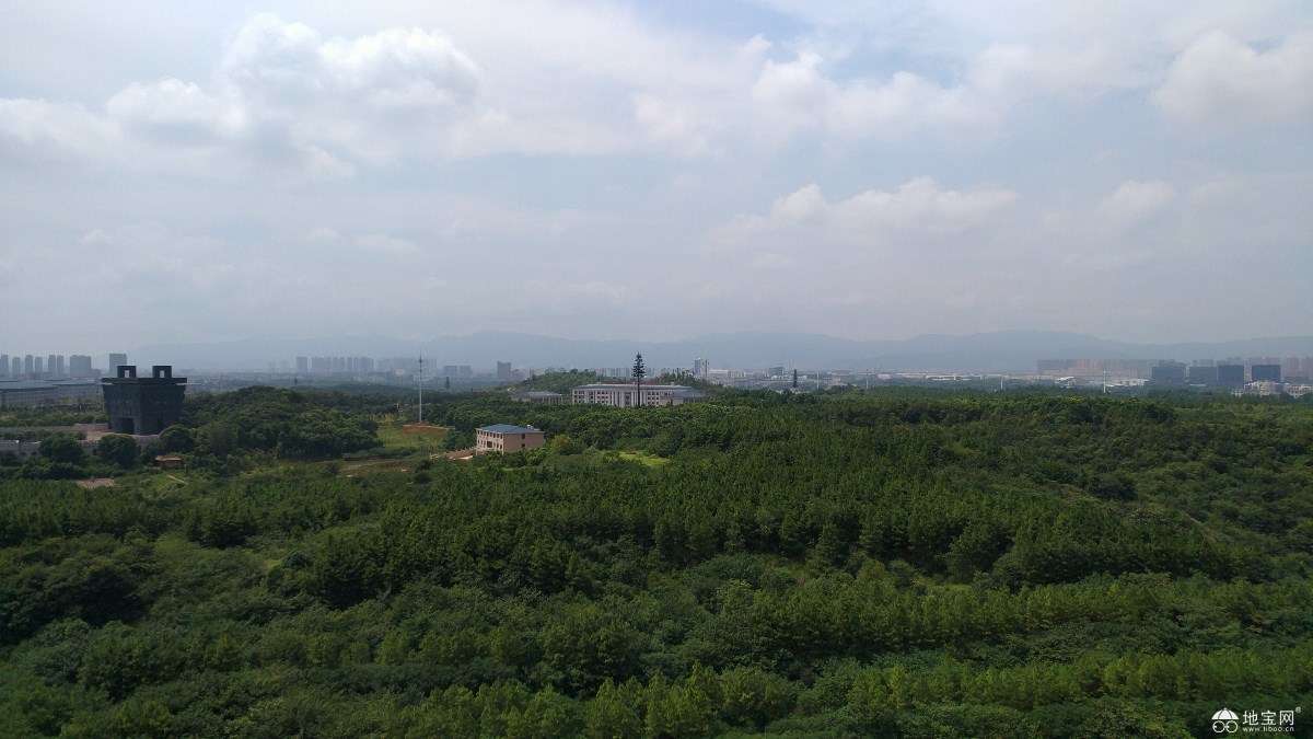 点击放大