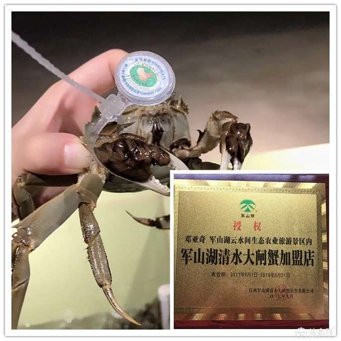 点击放大