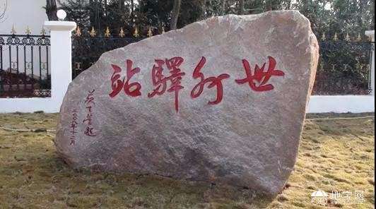 点击放大
