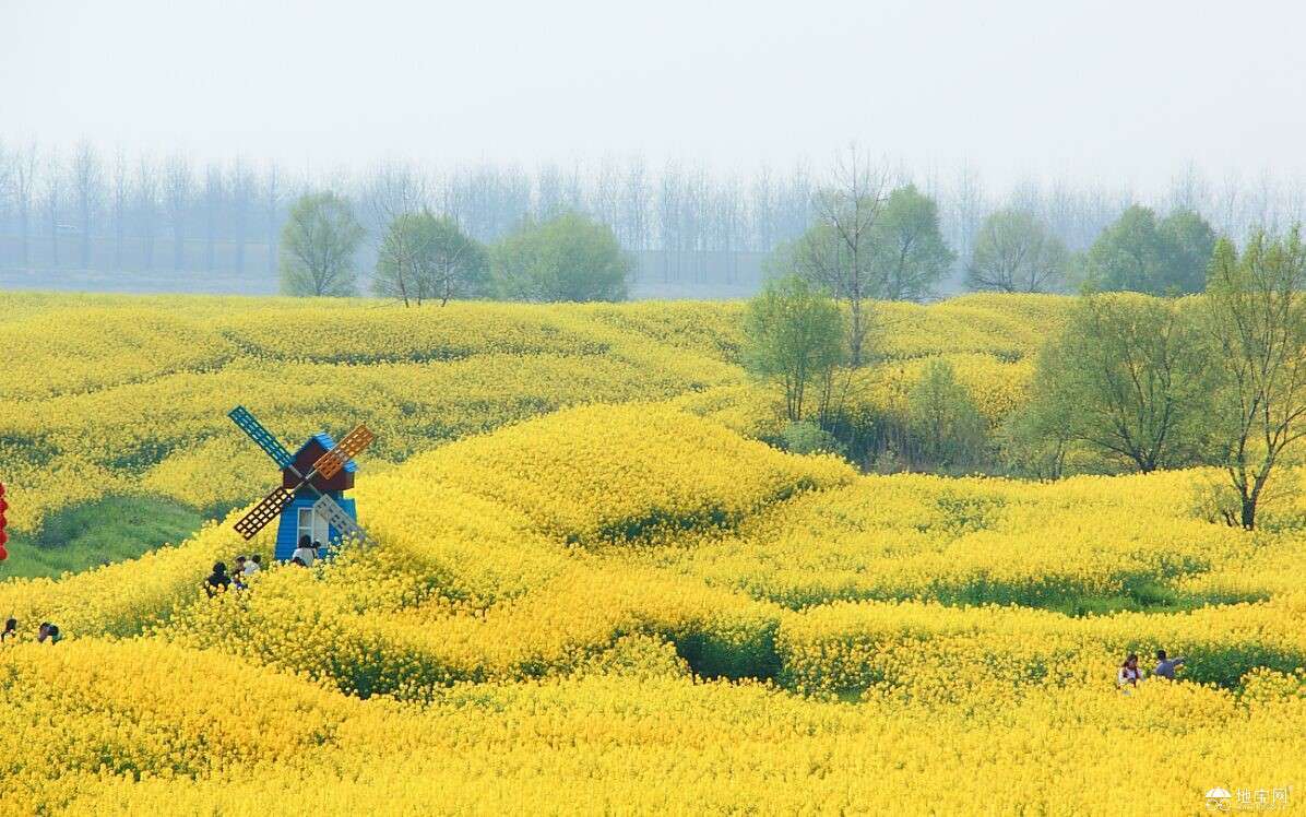 点击放大