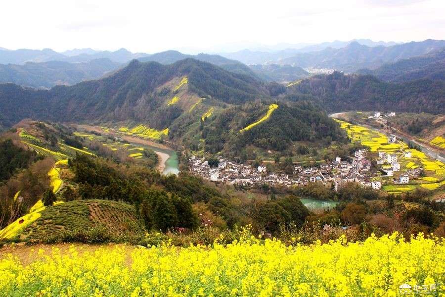 点击放大