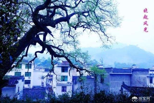 点击放大