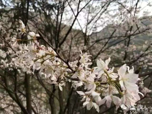 点击放大