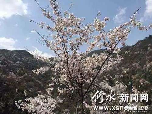 点击放大