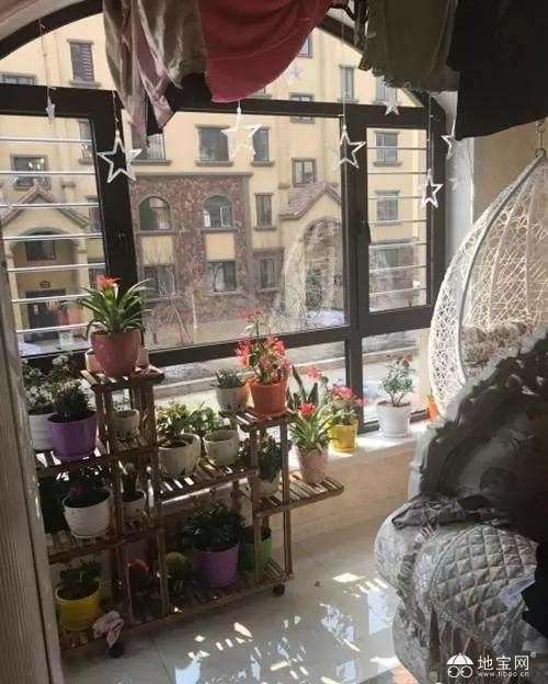 点击放大