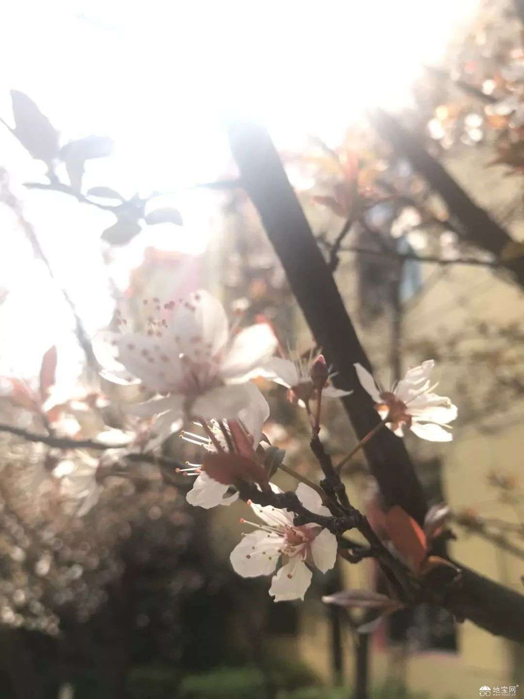 点击放大