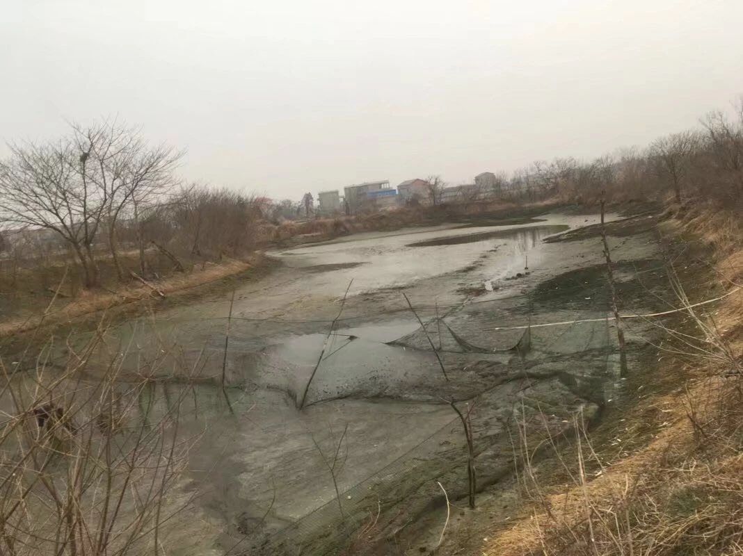 出租农村土地及房屋使用权,本国人或外国人亦可考虑