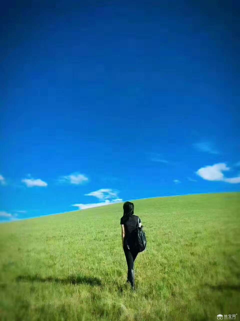 点击放大