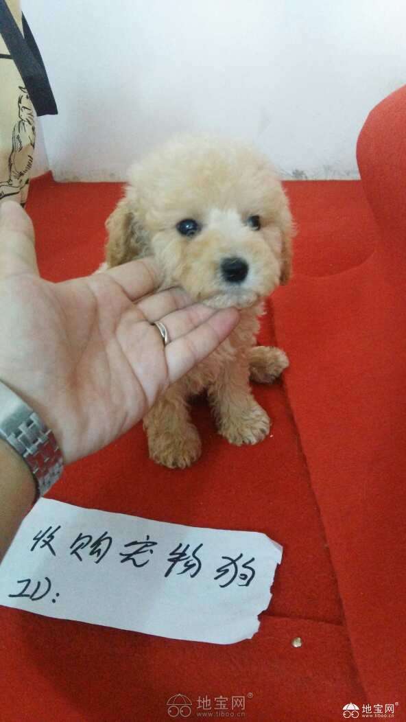 点击放大