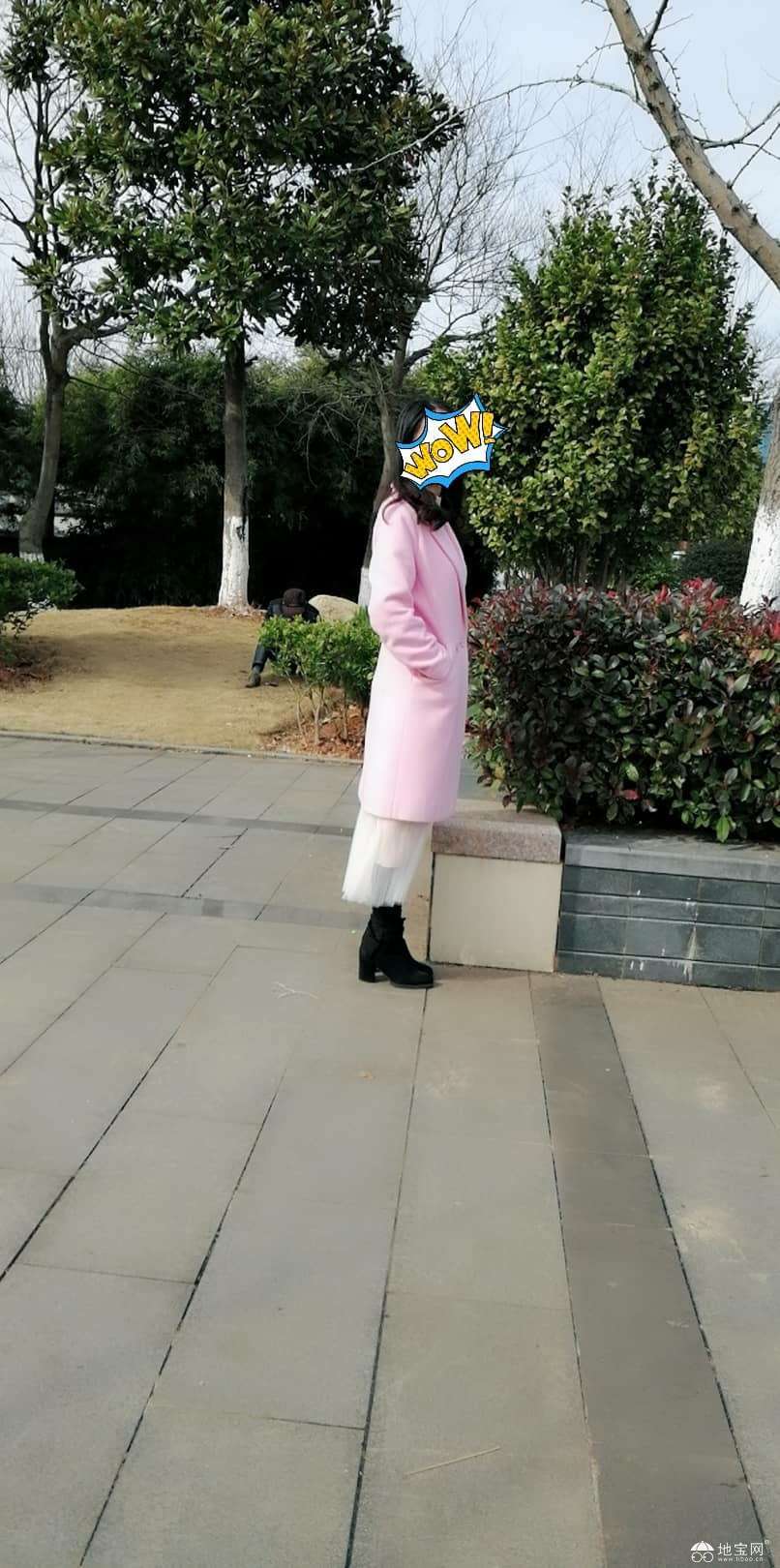 点击放大